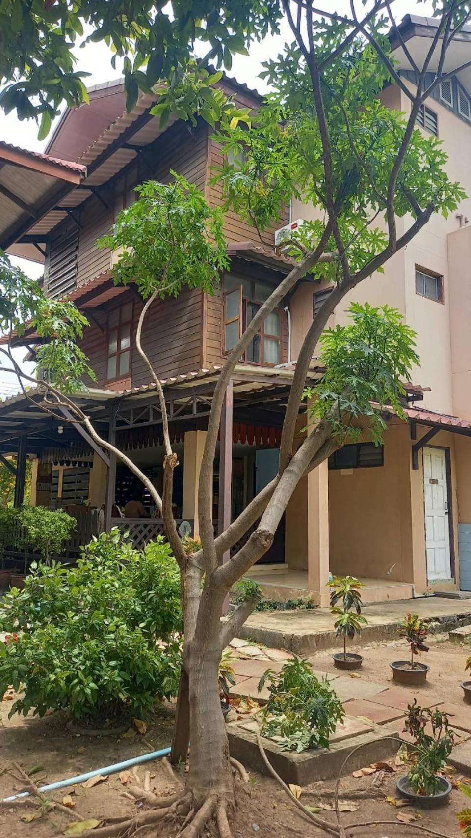 Baan Lotus Guest House Phra Nakhon Si Ayutthaya Zewnętrze zdjęcie
